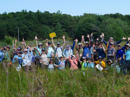 Living Observatory Summits
